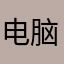 电脑的男的女的