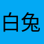 白兔子🐰