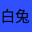 白兔🐰兔
