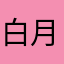 白月光玫瑰