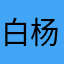 白杨树、