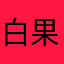 白果果不是果