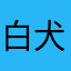 白犬游田野