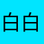 白白宝宝宝