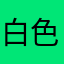 白色郁金香🌷🌷福