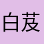 白芨种苗基地