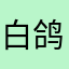 白鸽男孩