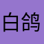 白鸽5220