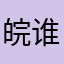 皖谁电机