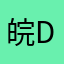 皖D小刘婷