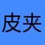 皮夹克康塞普西翁