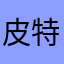 皮特3306