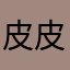 皮皮的app