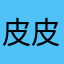 皮皮皮大师