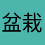 盆栽