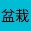 盆栽1122335