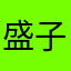 盛子慧磁场强度
