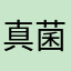 真菌きのこ