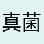 真菌🍄