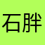 石胖胖18