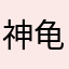 神龟🐢