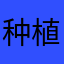 种植熊医生