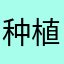 种植的人一起来看