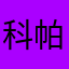 科帕奇317