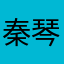 秦琴？！？！
