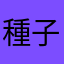 種子島の星
