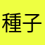種子島ぺ
