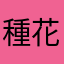 種花軍研兔