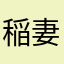 稲妻タン
