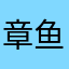 章鱼鸽鸽