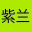 紫兰。枫叶