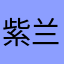 紫兰心
