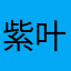 紫叶蝶❤️