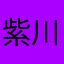 紫川龙王