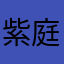 紫庭