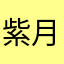 紫月魅力光棍