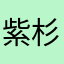 紫杉依韵