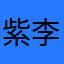 紫李小孟洵