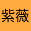 紫薇小白用户