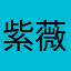 紫薇星聚集地