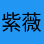 紫薇88