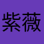 紫薇Zh