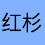 红杉树9988