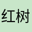 红树林USA