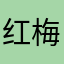 红梅利邵c1Lc6