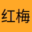 红梅高亢g6Pcy